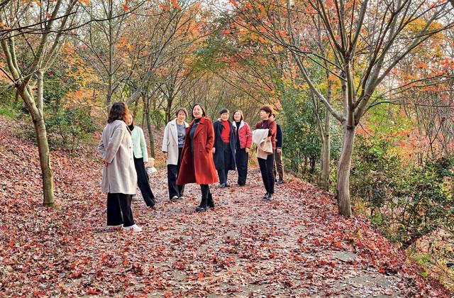 湖南  常宁  罗桥  红枫  美景