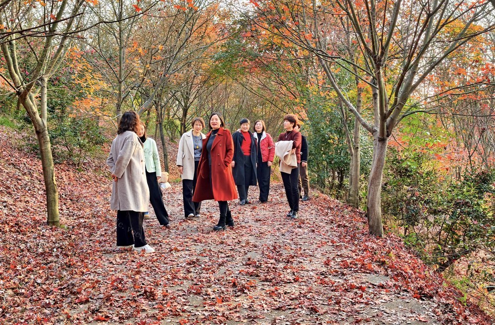 湖南  常宁  罗桥  红枫  美景