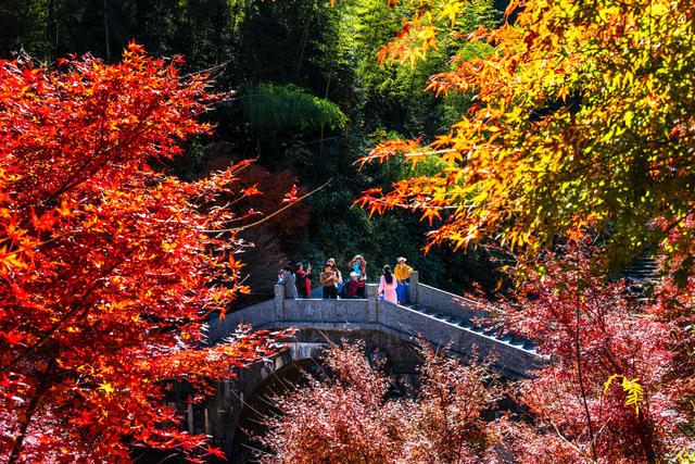 风光   色彩  枫叶 