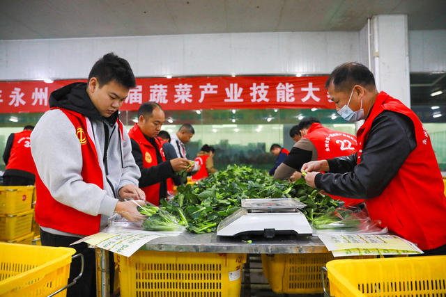 蔬菜  技能  比赛  促发展  产业