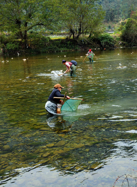 桃花虫 村民 捕捞 增收