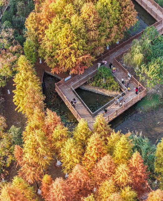 湖南道县：口袋公园 冬景如画