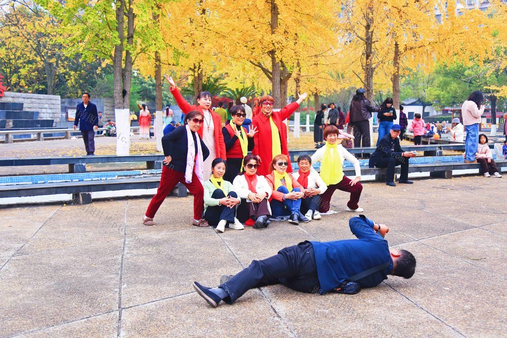 广场 银杏 黄啦