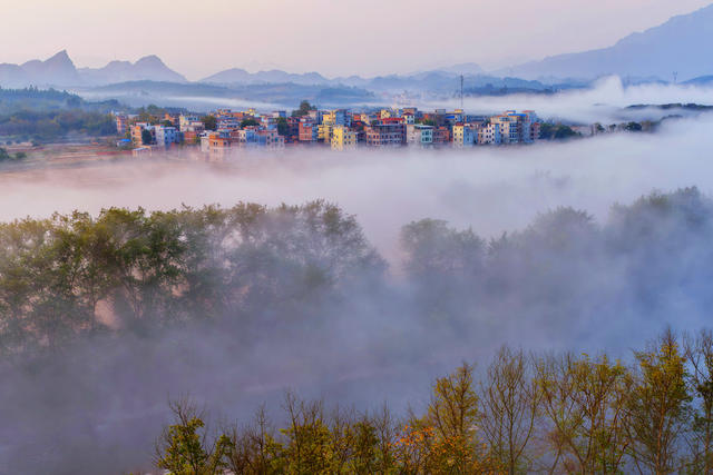 嘉禾：乡村晨曦美如画