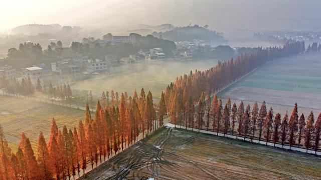 湖南   常宁  乡村  美景