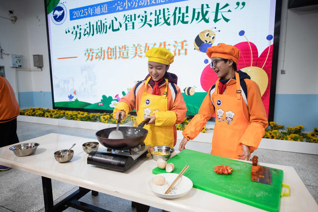 小学生   劳动  技能    比赛