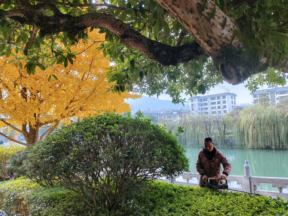 湖南桂东 “绿化理发师” 山城  生态 梳
