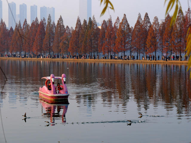 乐享冬日暖阳，烈士公园