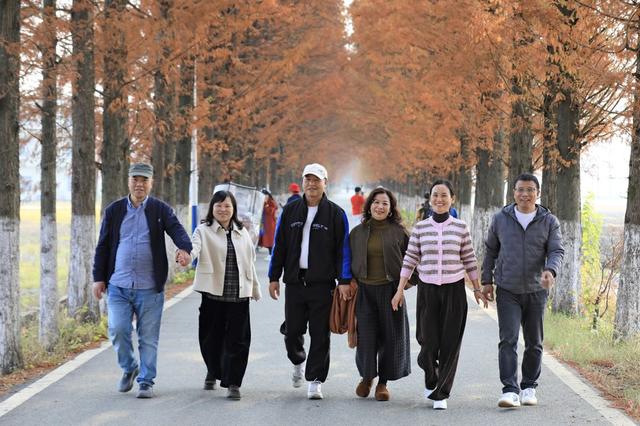 湖南  常宁  乡村  公路  