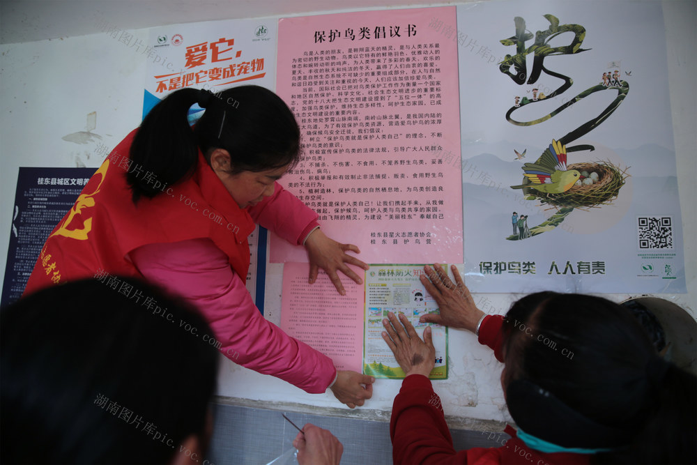 湖南桂东 志愿者 元旦 不打烊  生态  “安全线”