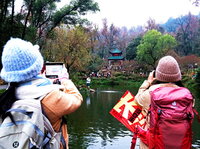 爱晚亭游人如织