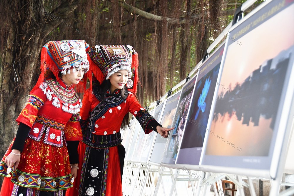 举办“骏马奔腾迎接新春”摄影展