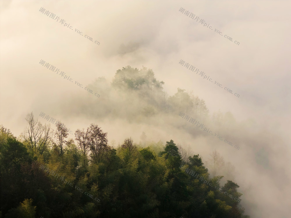 云雾 云海 山 密岩尖 群山