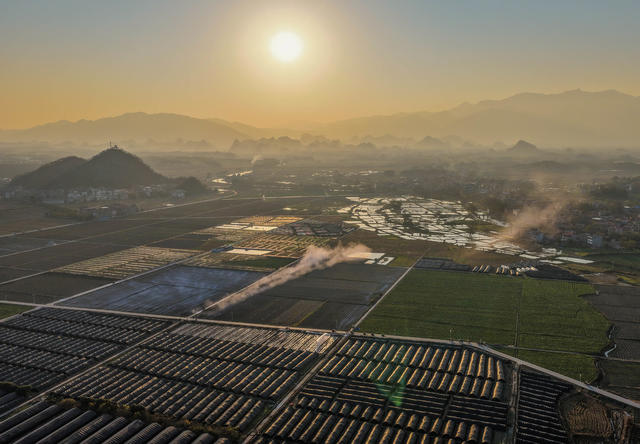 湖南道县：产业兴 民增收