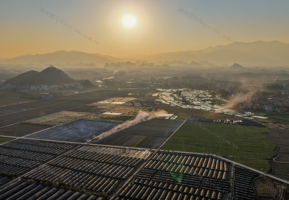 湖南道县：产业兴 民增收