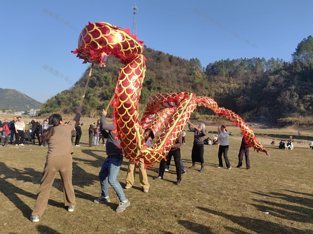 滩涂 舞龙 闹 周末