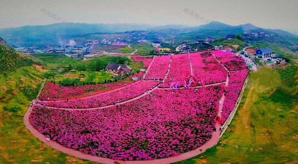 娄底  冷水江  矿山  玫瑰花