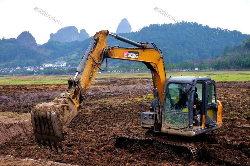 改建  荷花 旅游