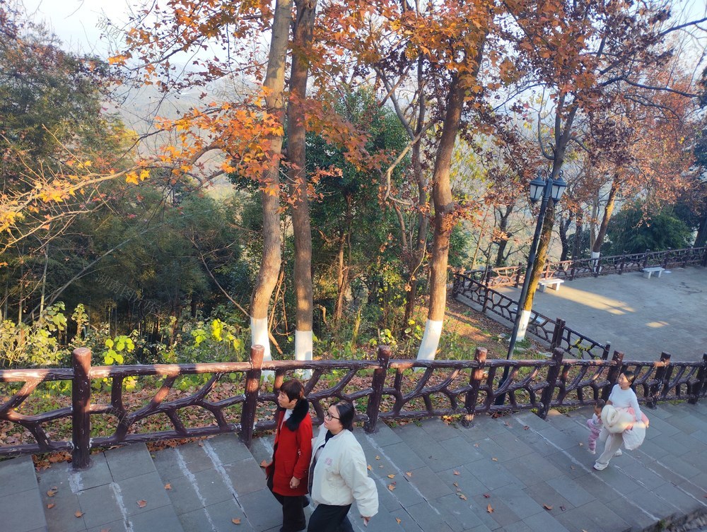 冬日 暖阳 苏仙岭