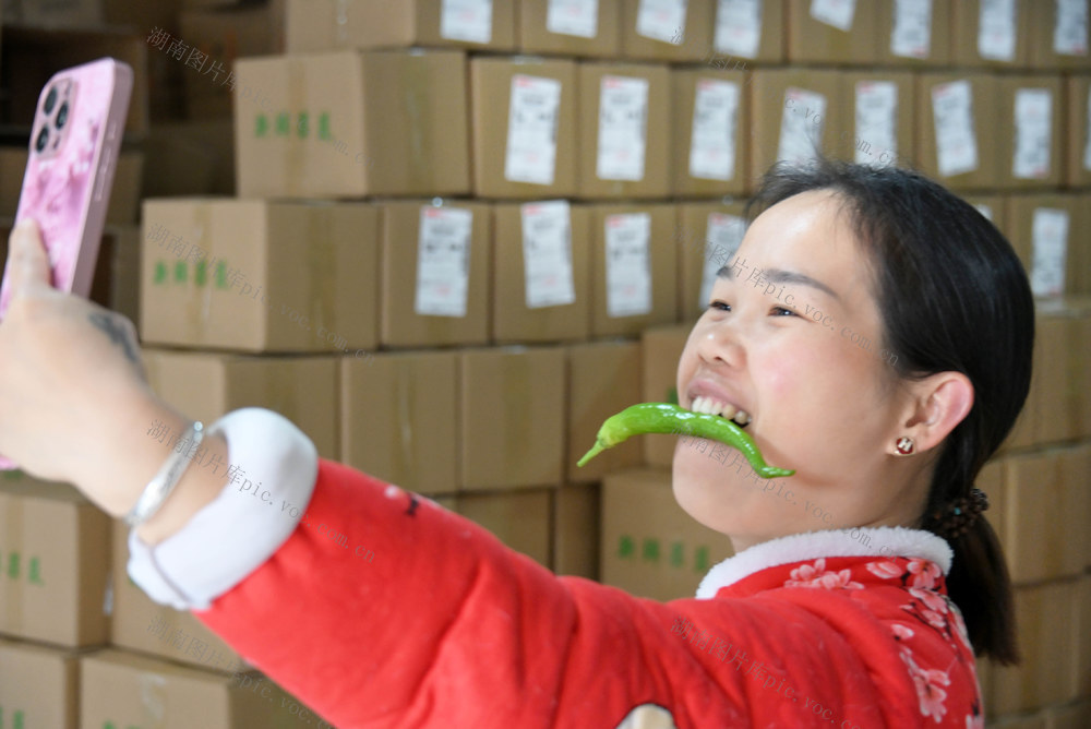 电子商务  农产品  合作社  基地  菜农  蔬菜  直销