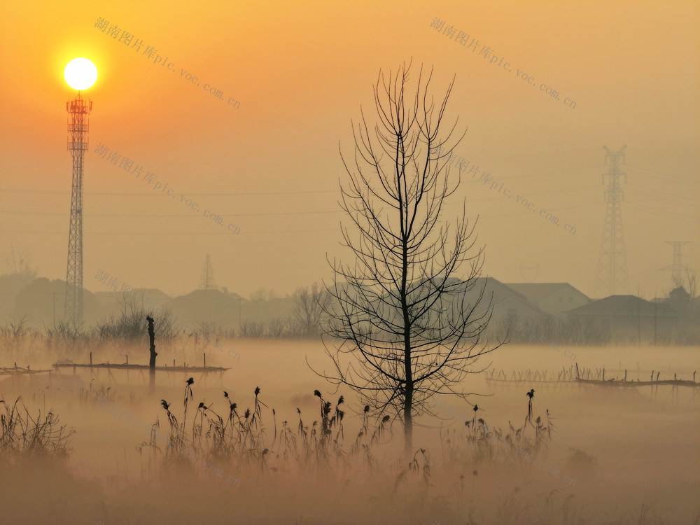 平原  乡村  清晨  平流雾  图画