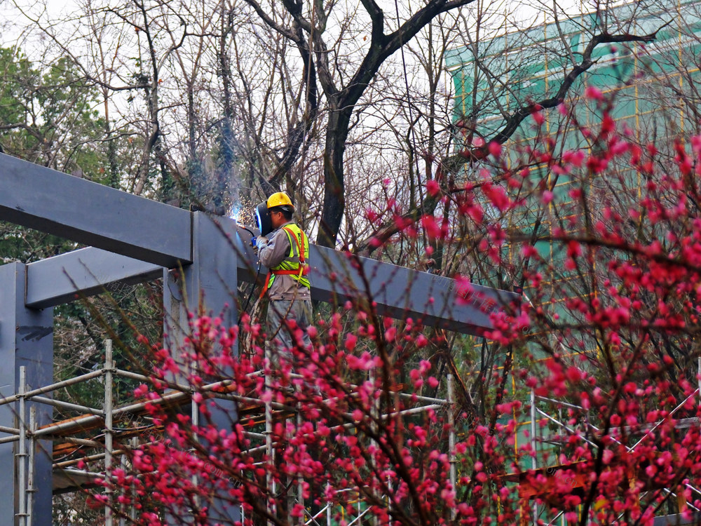 “馆园融合”，湖南省博物院、湖南烈士公园