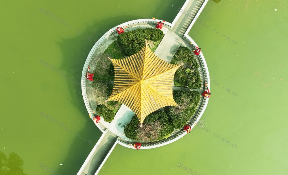 美丽乡村如画卷