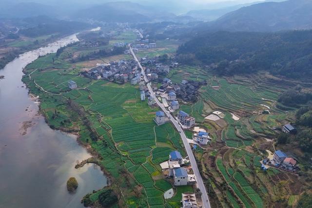 乡村、田野、生态、风光、农业