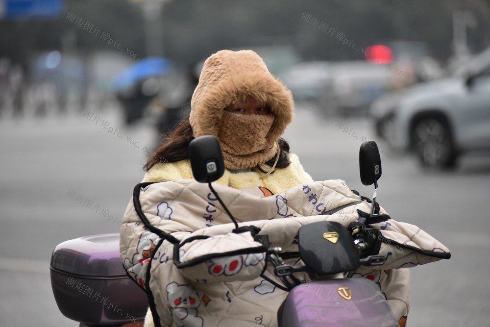 寒潮 低温 气象 雨雪冰冻 