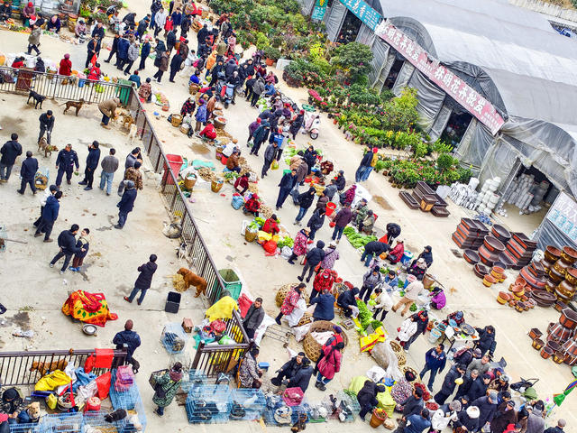 乾州农贸市场    新年第一集  市场货丰人旺