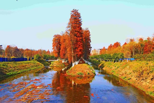 衡阳  雁峰  隆桥  红杉林