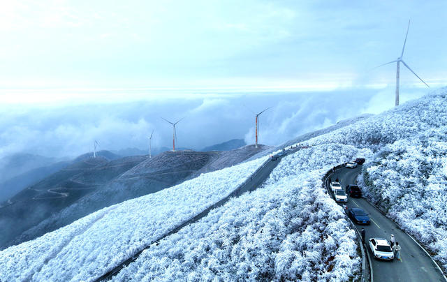 旅游，风景，森林公园，打卡点