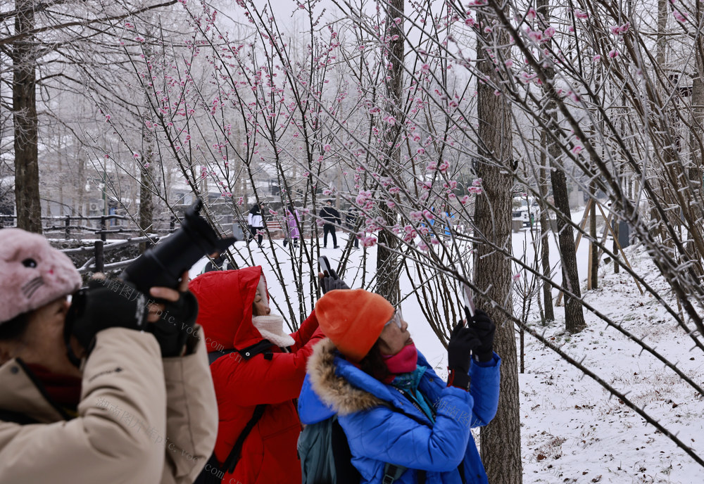 大寒 雪 张家界