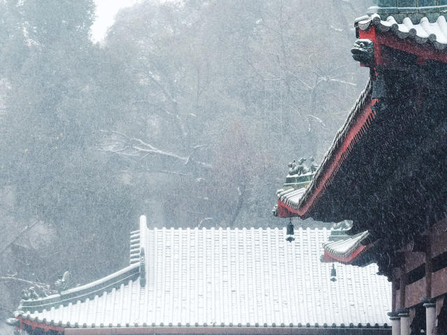 寒潮 益阳 下雪 大寒 会龙山