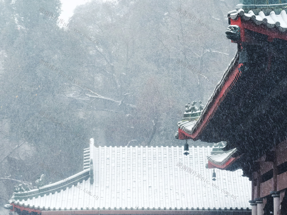 寒潮 益阳 下雪 大寒 会龙山