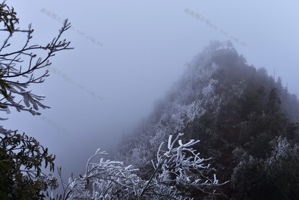 嘉禾：雾凇美景入画来