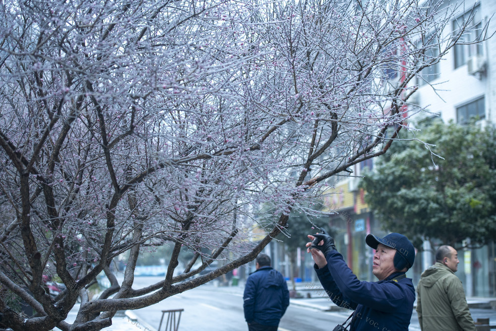 湖南涟源 初雪  冰冻 降雪 赏雪