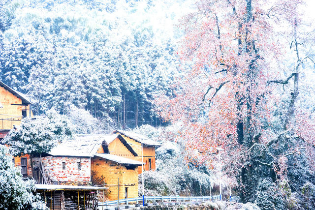 风光  雪景  山村