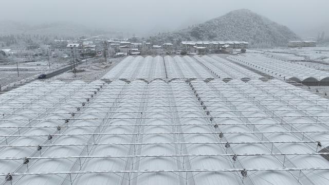 寒潮   郴州市   苏仙区  五盖山    雪花  冰晶 
 银装  晶莹剔透  冰雪童话世界  