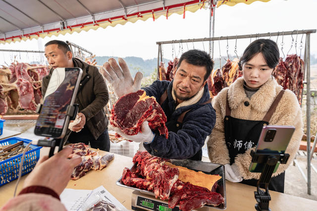 新科村  直播 年猪