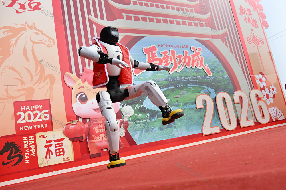 春节  文旅活动  文庙庙会  机器人  艺术表演