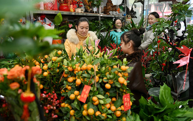 花卉 市场 鲜花 绿植 年宵花 节日 氛围 喜庆 春节 年货 市民 消费 俏销