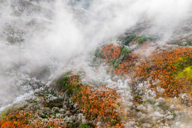 冰雪 银装素裹 彩林 层林尽染 山