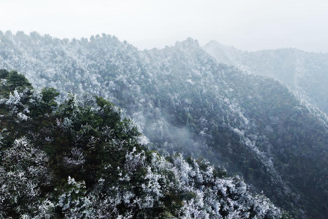 嘉禾：雾凇美景醉游人