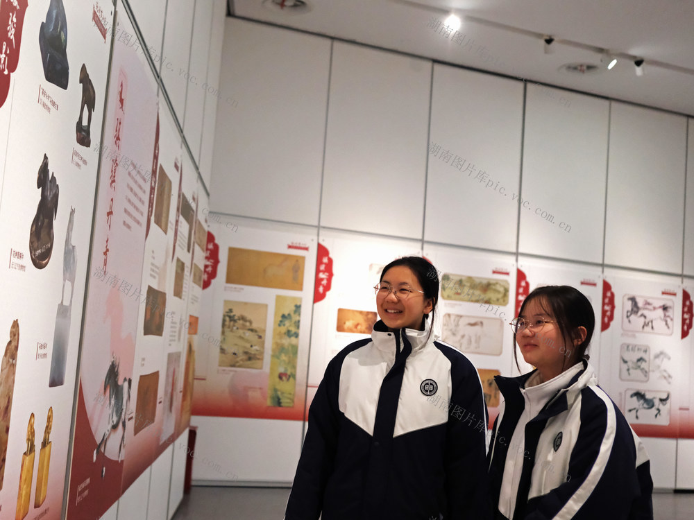 马舞新春，马年，生肖文化，