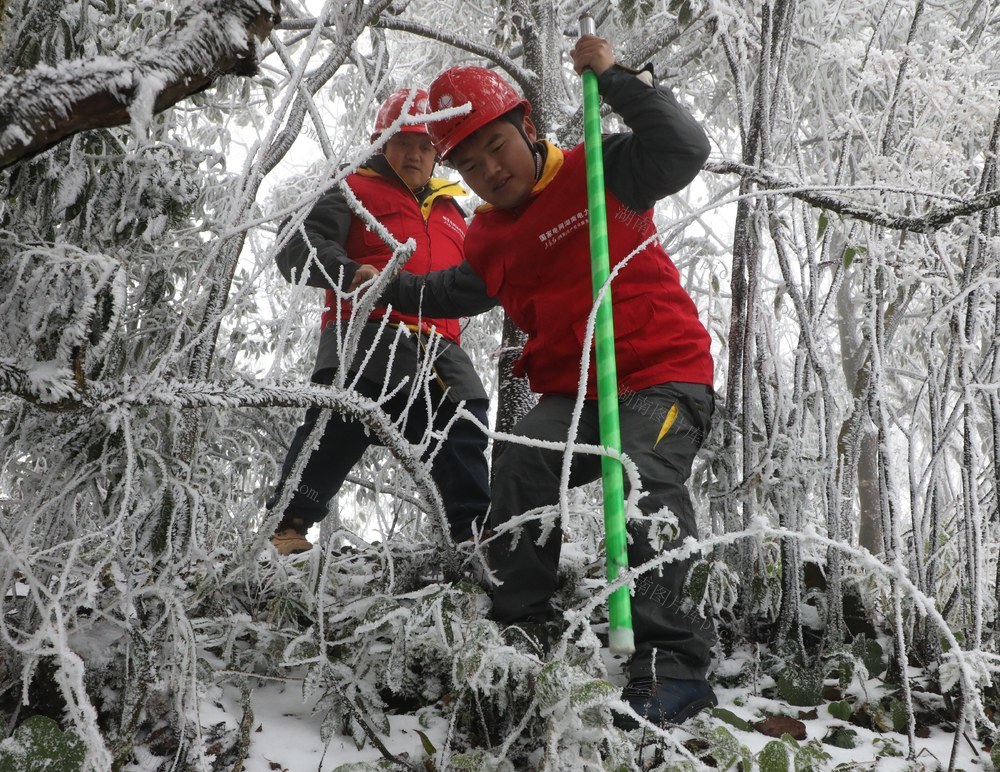         踏雪巡线保供电
