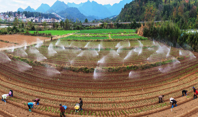 嘉禾：蔬菜轮种促增收