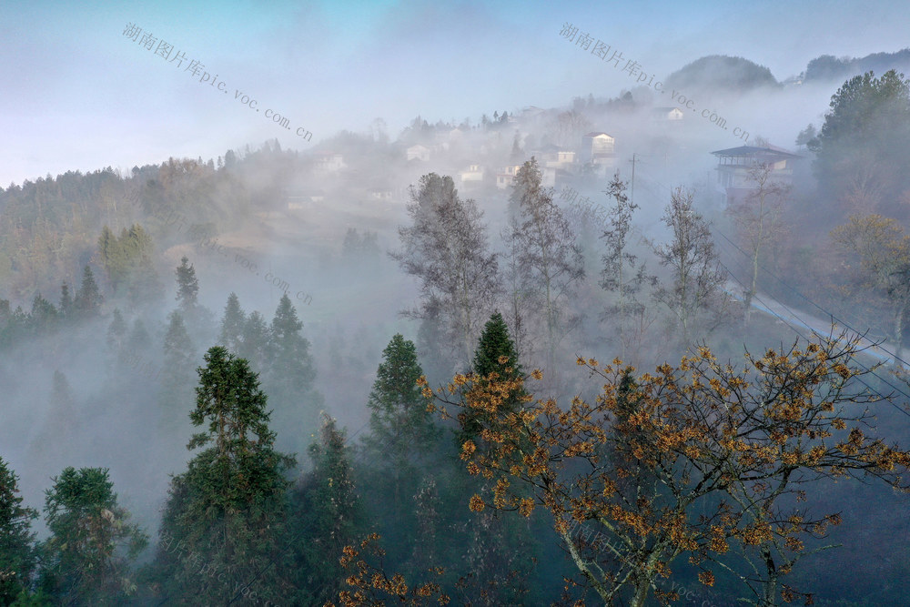湖南，龙山，山寨，冬景，晨雾，美丽