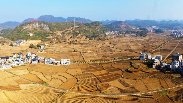 嘉禾：  冬日田园美如画