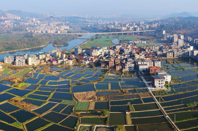 嘉禾：秀美渔村 养殖增收 